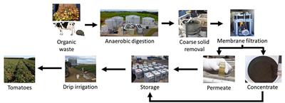 Digestate Biofertilizers Support Similar or Higher Tomato Yields and Quality Than Mineral Fertilizer in a <mark class="highlighted">Subsurface Drip Fertigation</mark> System